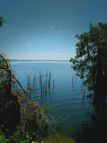 <span style='font-weight:bold;'></span><br />
    <span style='font-size:.8em;color:#9A4F03;'></span>