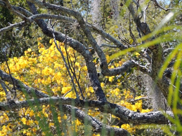 <span style='font-weight:bold;'></span><br />
    <span style='font-size:.8em;color:#9A4F03;'></span>