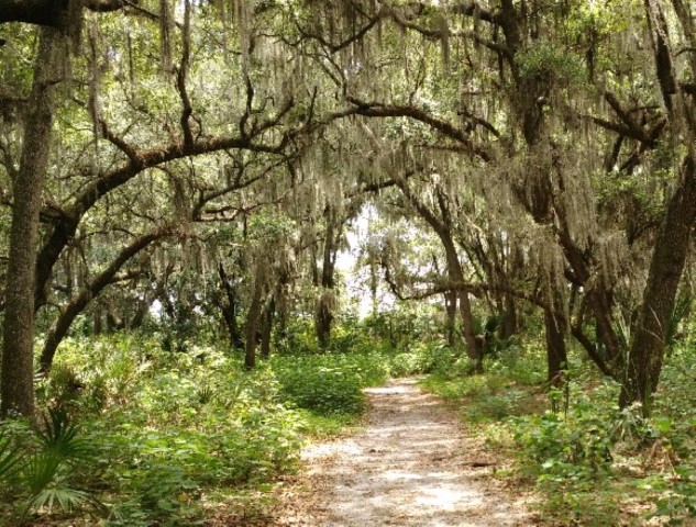 <span style='font-weight:bold;'></span><br />
    <span style='font-size:.8em;color:#9A4F03;'></span>