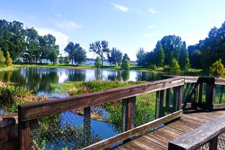 <span style='font-weight:bold;'></span><br />
    <span style='font-size:.8em;color:#9A4F03;'> My Florida hood. </span>